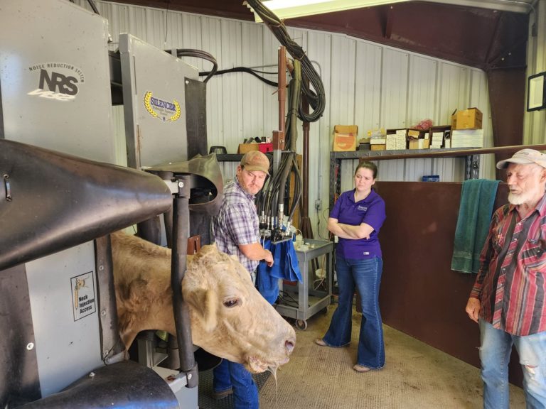 Careers at Mitchell Veterinary Clinic