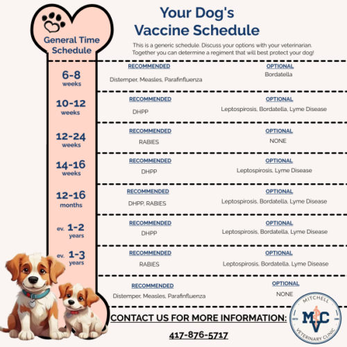 Vaccine Schedules – Mitchell Veterinary Clinic